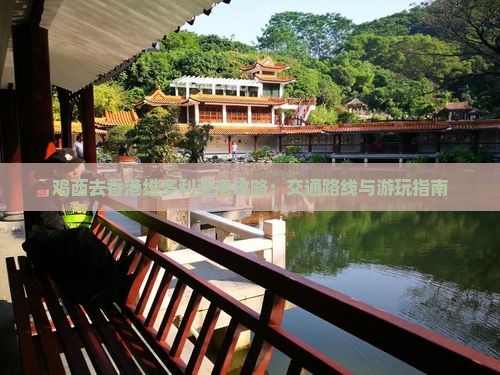 鸡西去香港维多利亚港攻略:交通路线与游玩指南 鸡西去香港维多利亚港攻略:交通路线与游玩指南