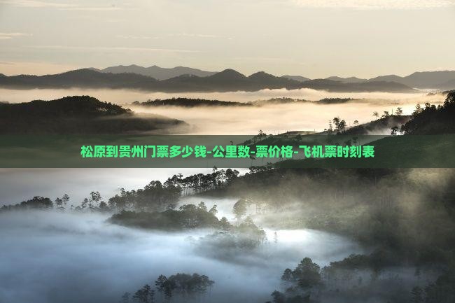 松原到贵州门票多少钱-公里数-票价格-飞机票时刻表