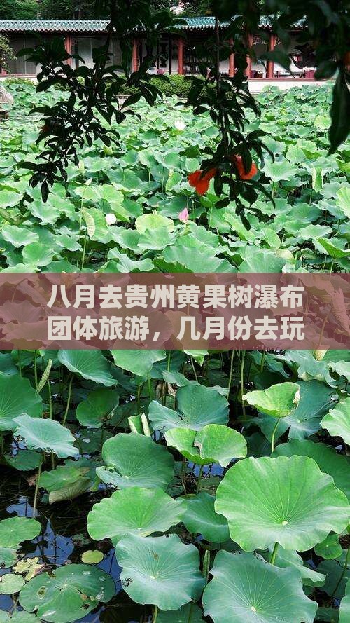 八月去贵州黄果树瀑布团体旅游，几月份去玩