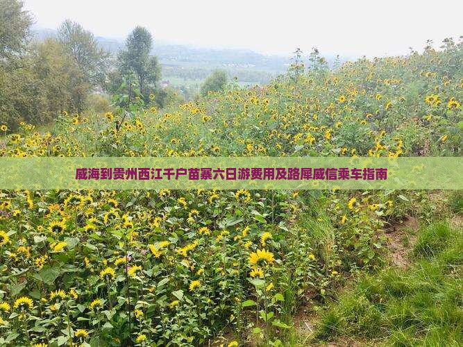 威海到贵州西江千户苗寨六日游费用及路犀威信乘车指南