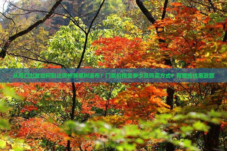 从周口出发如何到达贵州黄果树瀑布？门票价格是多少及购买方式？有哪些优惠政部