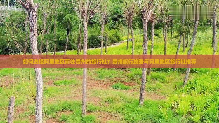 如何选择阿里地区前往贵州的旅行社？贵州旅行攻略与阿里地区旅行社推荐
