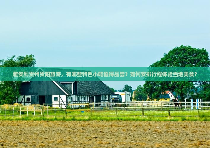 雅安到贵州贵阳旅游，有哪些特色小吃值得品尝？如何安排行程体验当地美食？