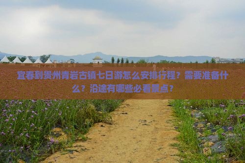 宜春到贵州青岩古镇七日游怎么安排行程？需要准备什么？沿途有哪些必看景点？