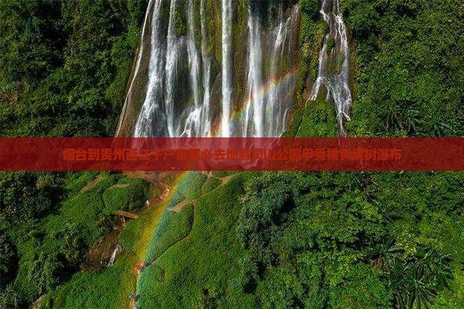 烟台到贵州西江千户苗寨必去地黔灵山公园甲秀楼黄果树瀑布