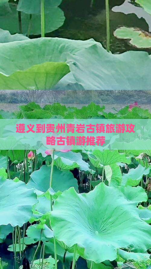 遵义到贵州青岩古镇旅游攻略古镇游推荐