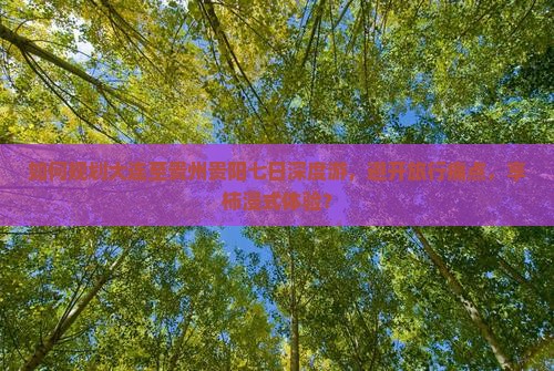 如何规划大连至贵州贵阳七日深度游，避开旅行痛点，享柿浸式体验？