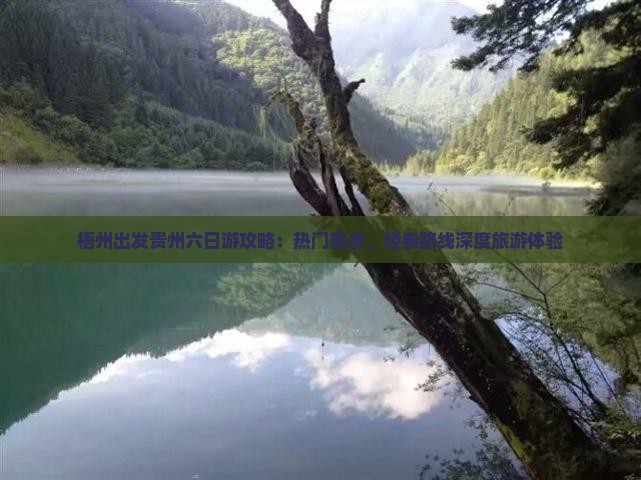 梧州出发贵州六日游攻略：热门景点、经典路线深度旅游体验