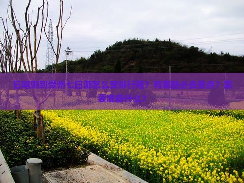 日喀则到贵州七日游怎么安排行程？有哪些必去景点？需要准备什么？