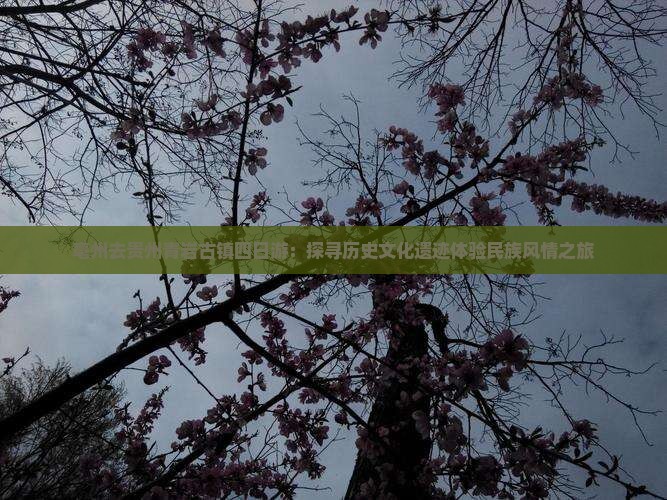 亳州去贵州青岩古镇四日游：探寻历史文化遗迹体验民族风情之旅