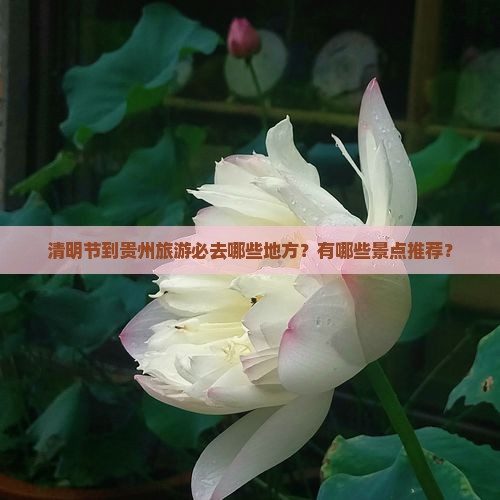 清明节到贵州旅游必去哪些地方？有哪些景点推荐？