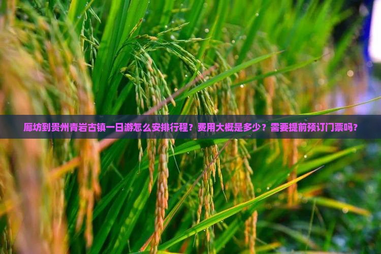 廊坊到贵州青岩古镇一日游怎么安排行程？费用大概是多少？需要提前预订门票吗？