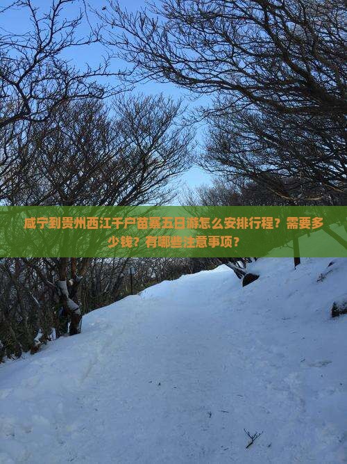 咸宁到贵州西江千户苗寨五日游怎么安排行程？需要多少钱？有哪些注意事项？