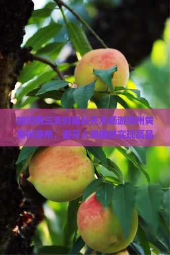 如何用三天时间从天水畅游贵州黄果树瀑布，避开人潮拥挤实现高品质旅行体验？