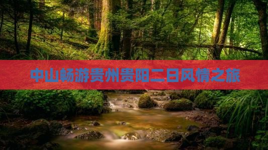 中山畅游贵州贵阳二日风情之旅