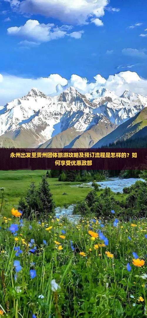 永州出发至贵州团体旅游攻略及预订流程是怎样的？如何享受优惠政部