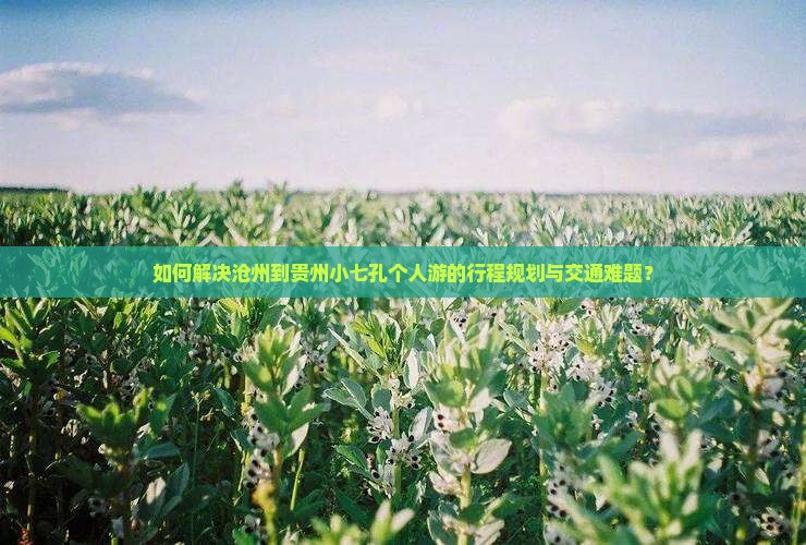 如何解决沧州到贵州小七孔个人游的行程规划与交通难题？