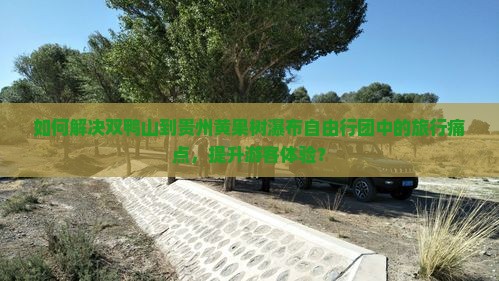 如何解决双鸭山到贵州黄果树瀑布自由行团中的旅行痛点，提升游客体验？