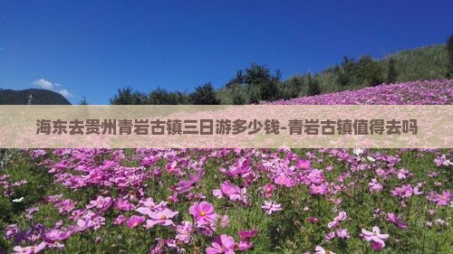 海东去贵州青岩古镇三日游多少钱-青岩古镇值得去吗