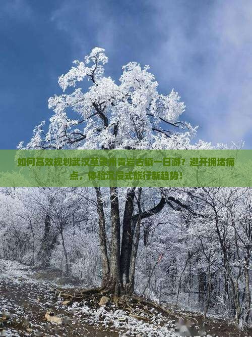 如何高效规划武汉至贵州青岩古镇一日游？避开拥堵痛点，体验沉浸式旅行新趋势！