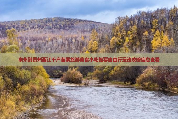 泰州到贵州西江千户苗寨旅游美食小吃推荐自由行玩法攻略信息查看
