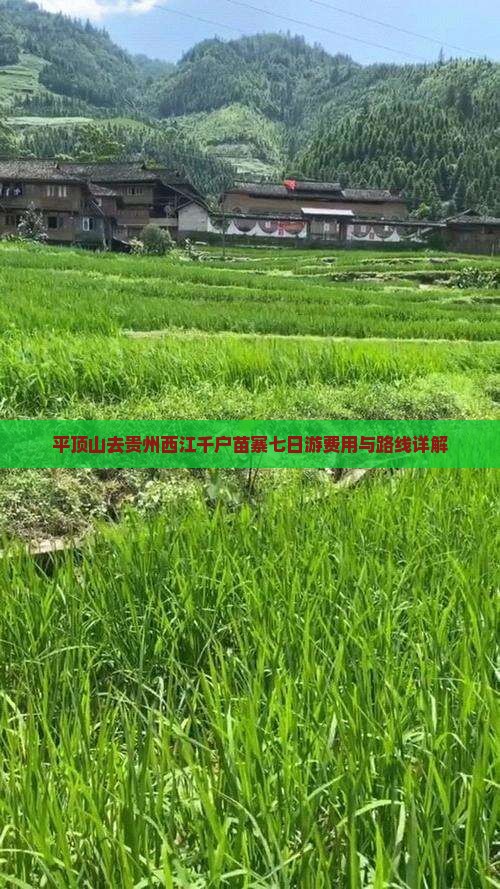 平顶山去贵州西江千户苗寨七日游费用与路线详解