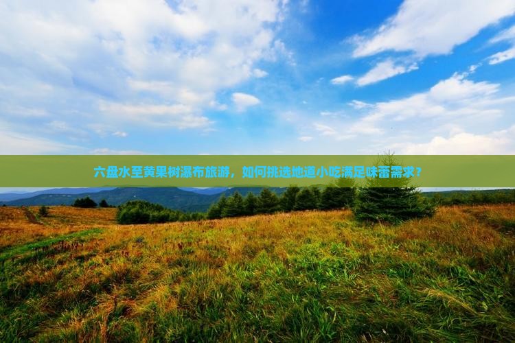 六盘水至黄果树瀑布旅游，如何挑选地道小吃满足味蕾需求？