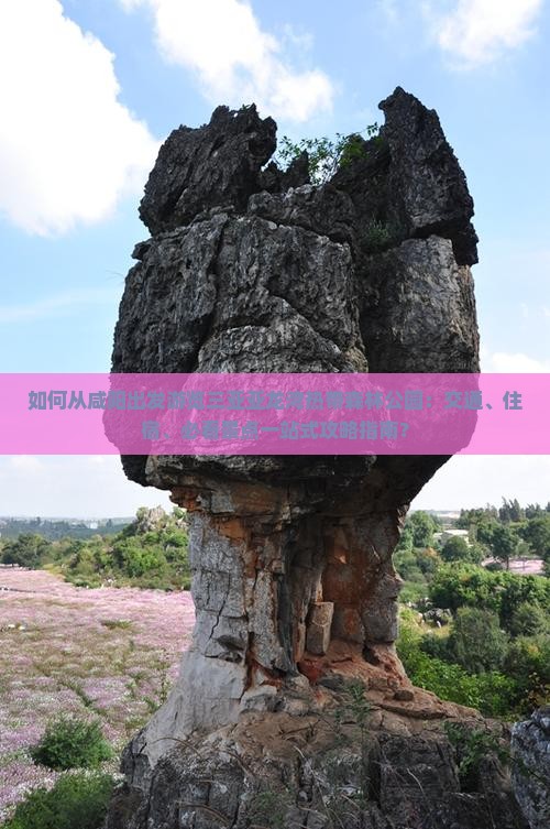 如何从咸阳出发游览三亚亚龙湾热带森林公园：交通、住宿、必看景点一站式攻略指南？