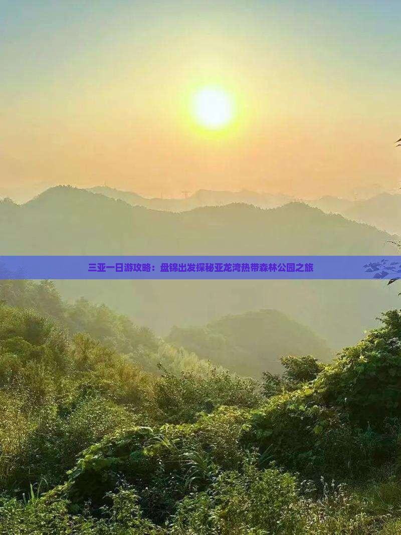 三亚一日游攻略：盘锦出发探秘亚龙湾热带森林公园之旅
