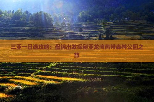 三亚一日游攻略：盘锦出发探秘亚龙湾热带森林公园之旅