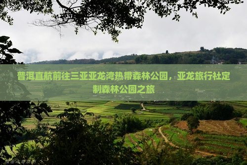 普洱直航前往三亚亚龙湾热带森林公园，亚龙旅行社定制森林公园之旅