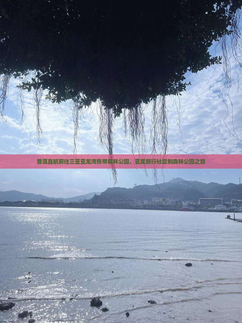 普洱直航前往三亚亚龙湾热带森林公园，亚龙旅行社定制森林公园之旅