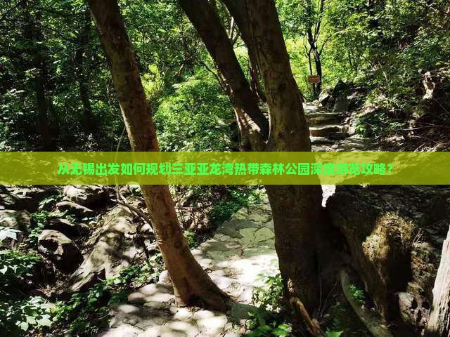 从无锡出发如何规划三亚亚龙湾热带森林公园深度游览攻略？