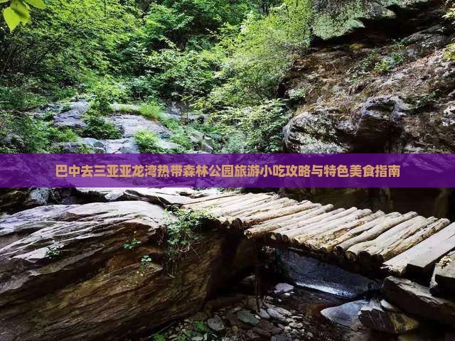 巴中去三亚亚龙湾热带森林公园旅游小吃攻略与特色美食指南