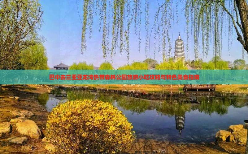 巴中去三亚亚龙湾热带森林公园旅游小吃攻略与特色美食指南