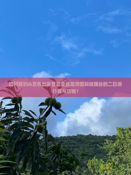 如何规划从百色出发至三亚亚龙湾国际玫瑰谷的二日游行程与攻略？