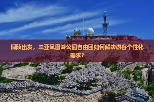 铜陵出发，三亚凤凰岭公园自由团如何解决游客个性化需求？