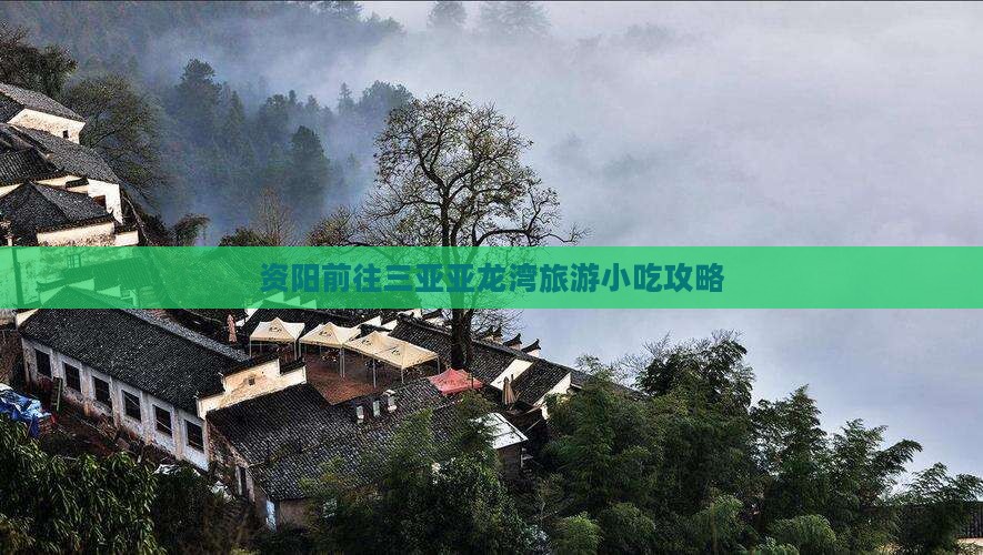 资阳前往三亚亚龙湾旅游小吃攻略
