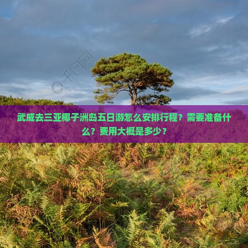 武威去三亚椰子洲岛五日游怎么安排行程？需要准备什么？费用大概是多少？