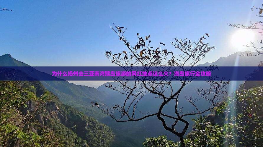 为什么扬州去三亚南湾猴岛旅游的网红地点这么火？海岛旅行全攻略