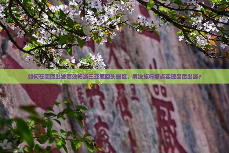 如何在固原出发高效畅游三亚鹿回头景区，解决旅行痛点实现品质出游？