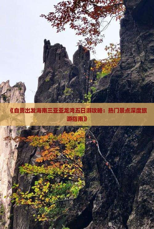 《自贡出发海南三亚亚龙湾五日游攻略：热门景点深度旅游指南》