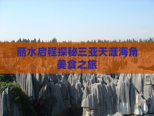 丽水启程探秘三亚天涯海角美食之旅