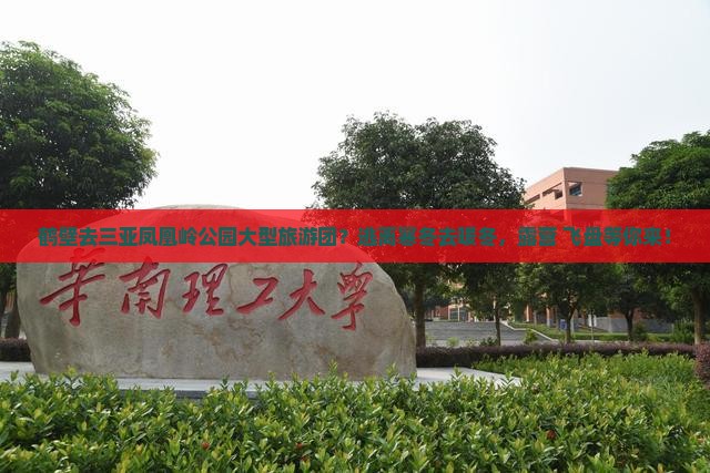 鹤壁去三亚凤凰岭公园大型旅游团？逃离寒冬去暖冬，露营+飞盘等你来！