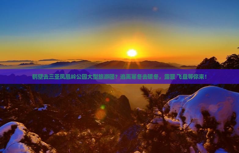 鹤壁去三亚凤凰岭公园大型旅游团？逃离寒冬去暖冬，露营+飞盘等你来！