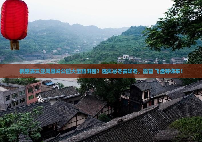 鹤壁去三亚凤凰岭公园大型旅游团？逃离寒冬去暖冬，露营+飞盘等你来！
