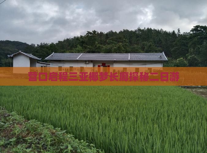 营口启程三亚椰梦长廊探秘二日游