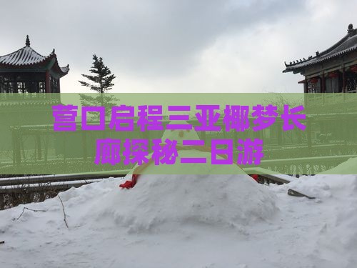 营口启程三亚椰梦长廊探秘二日游
