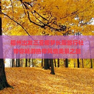 福州出发三亚椰梦长廊旅行社带你畅游热带风情美景之旅