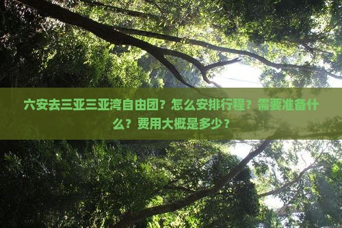 六安去三亚三亚湾自由团？怎么安排行程？需要准备什么？费用大概是多少？